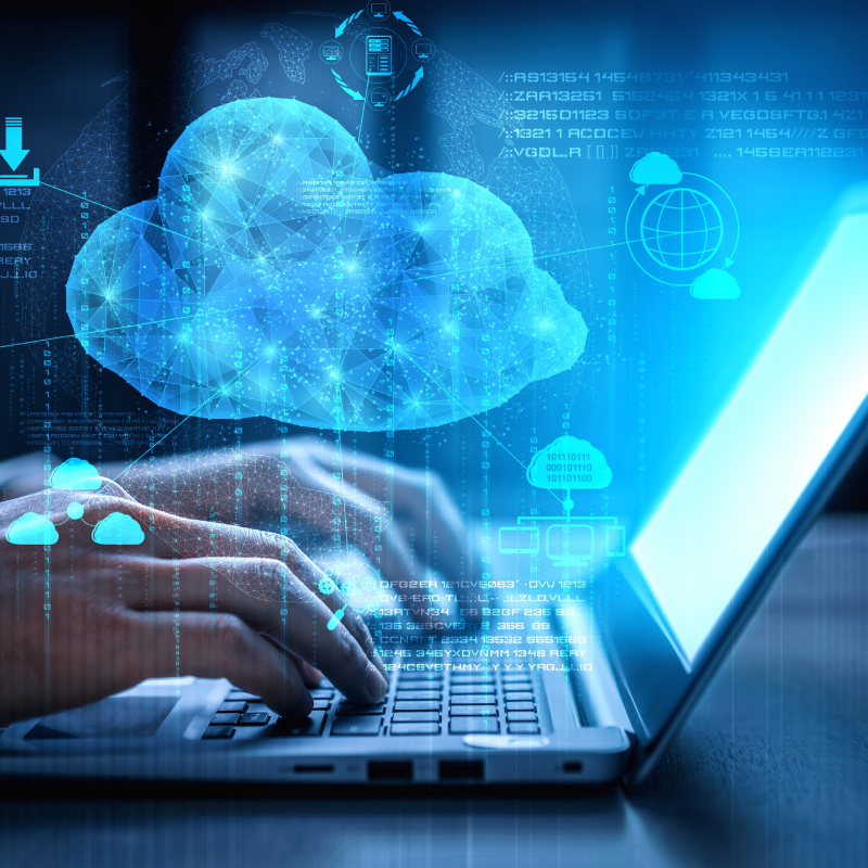 Services_bizware_ copia